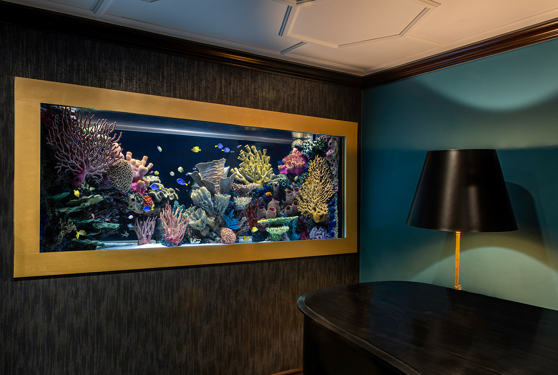 Custom Aquarium Design and Installation